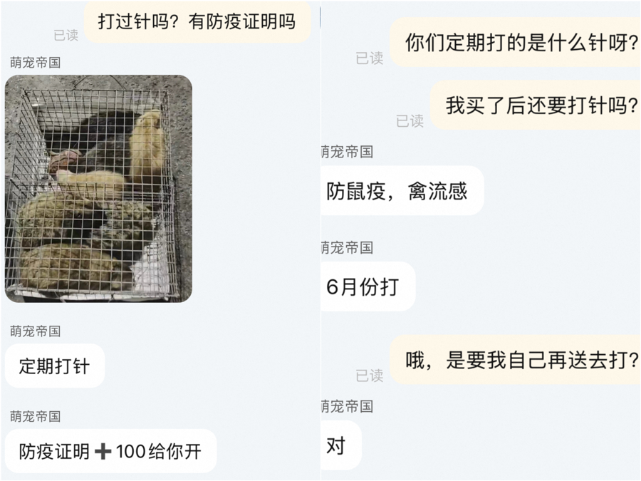 网购土拨鼠火了!无防疫证明,普通快递运输,还敢买吗?今日