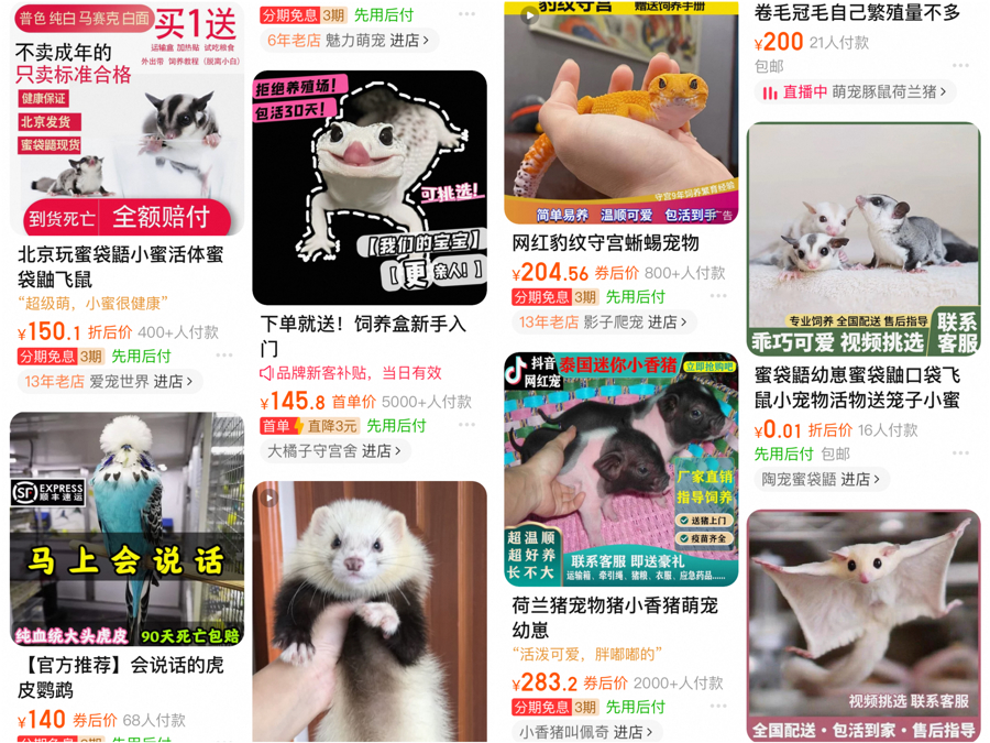 网购土拨鼠火了!无防疫证明,普通快递运输,还敢买吗?今日