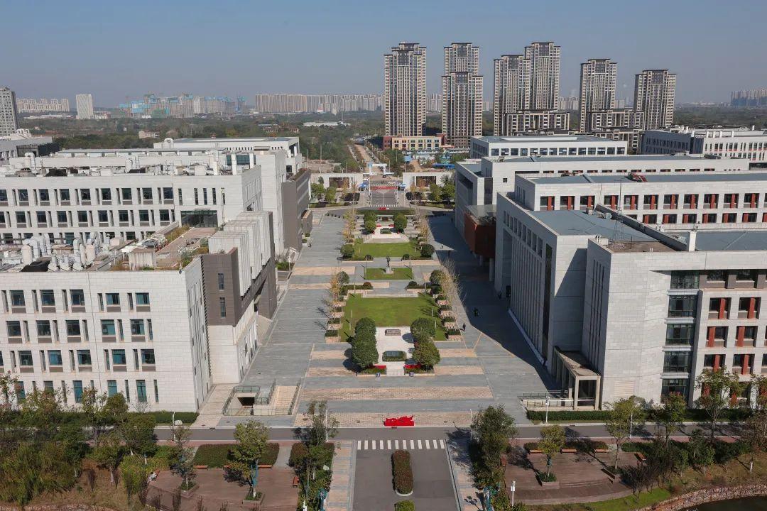 机器人来了,约不?