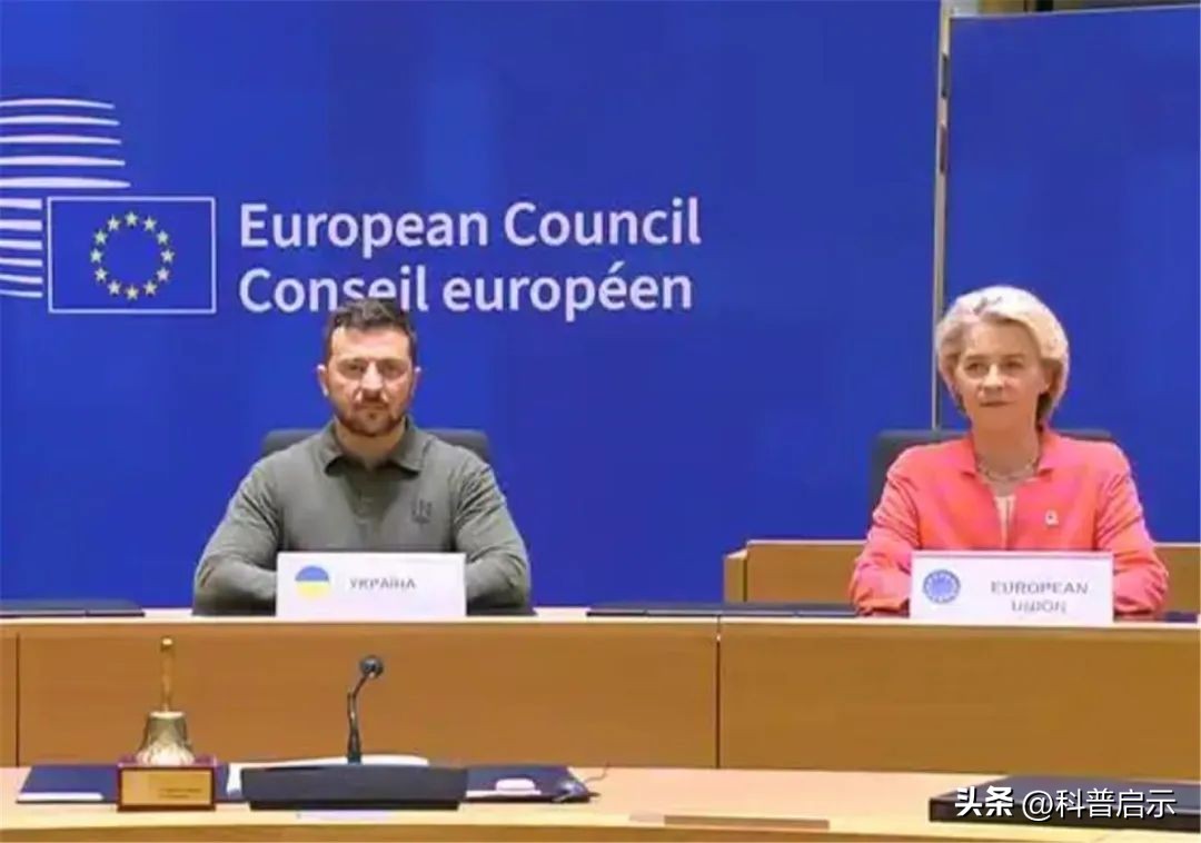 普京高兴早了?28国共谋出兵,乌命运已定,乌请中国做安全保证