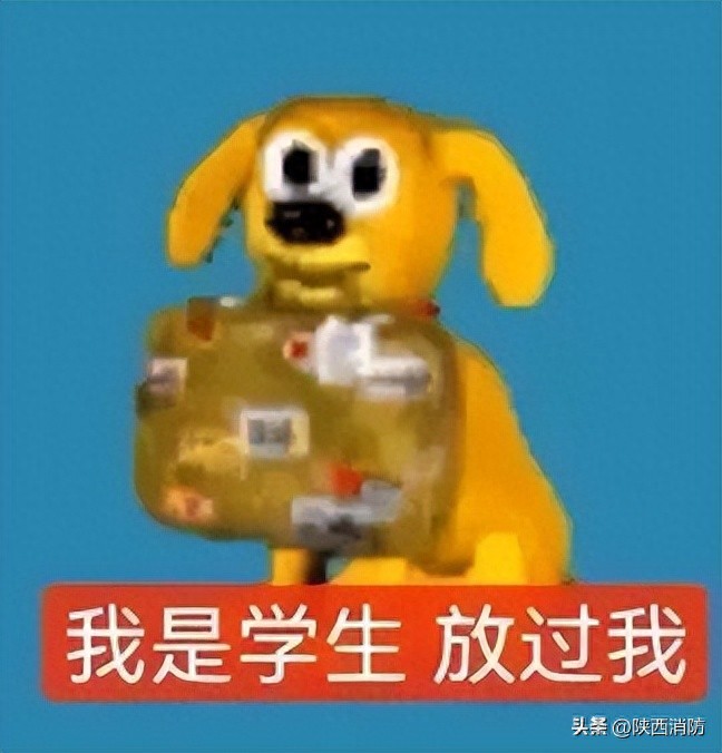 寒假作业大作战,厨房竟意外躺枪?