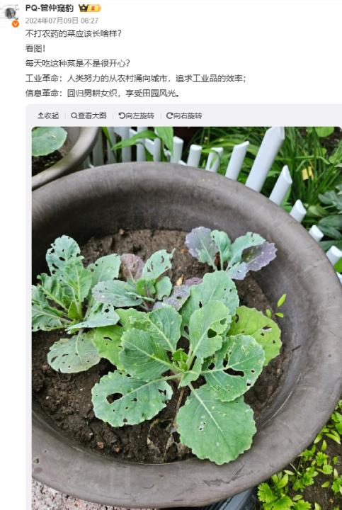 警惕!这样洗水果越洗越脏!很多人都做错了