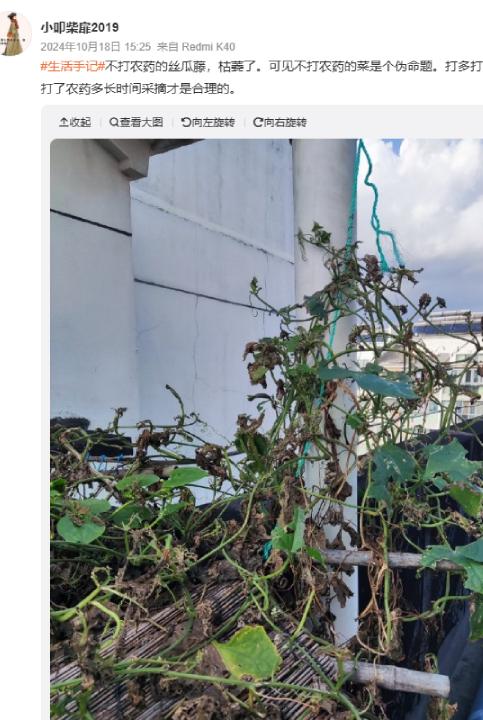 警惕!这样洗水果越洗越脏!很多人都做错了