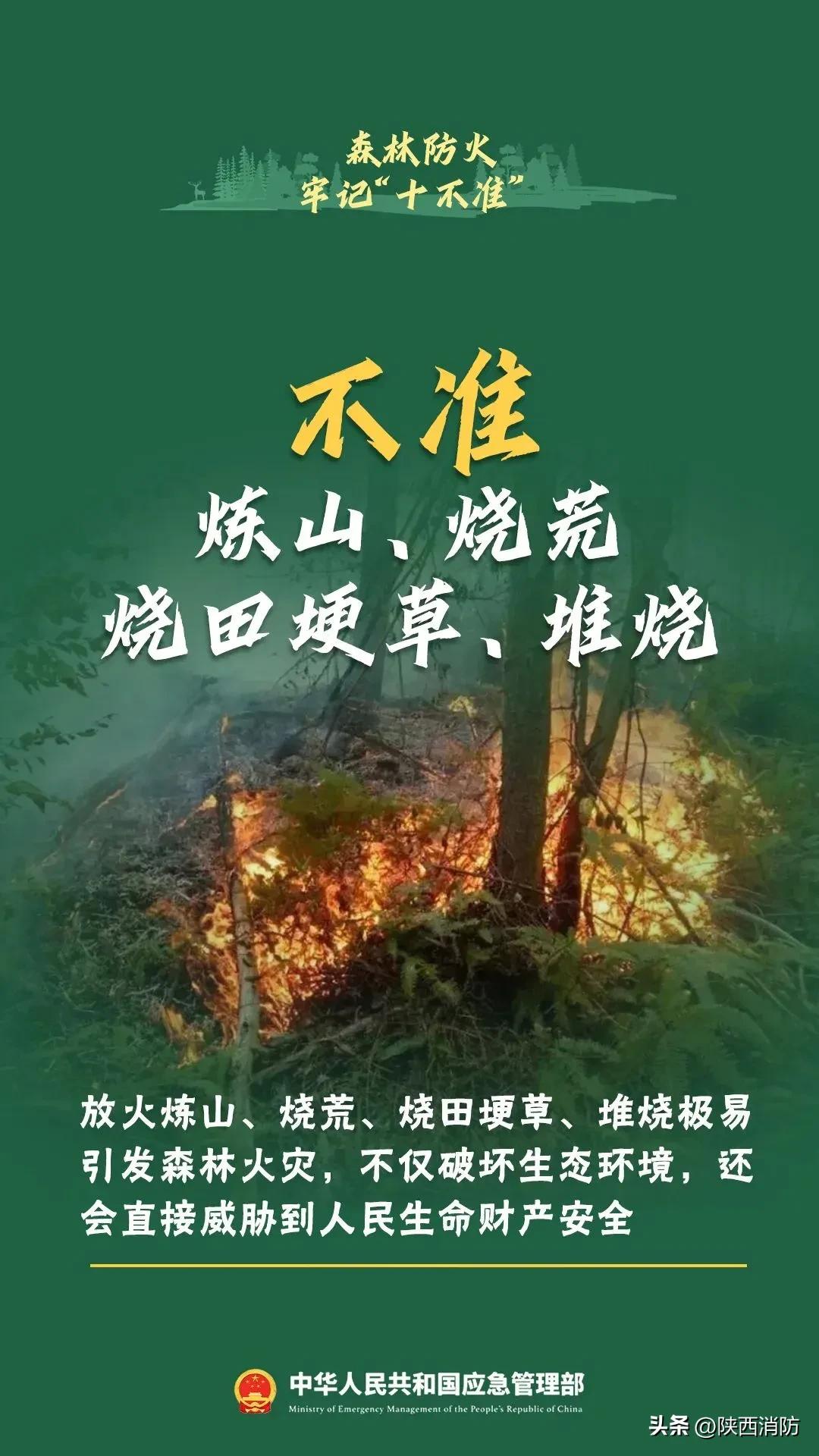 寒假闯祸,家长赔偿145万元!
