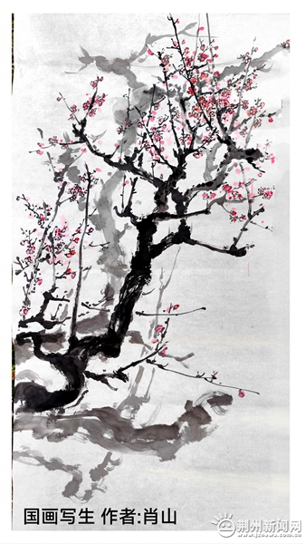 中山公园满园梅幽香画笔写生赞荆州