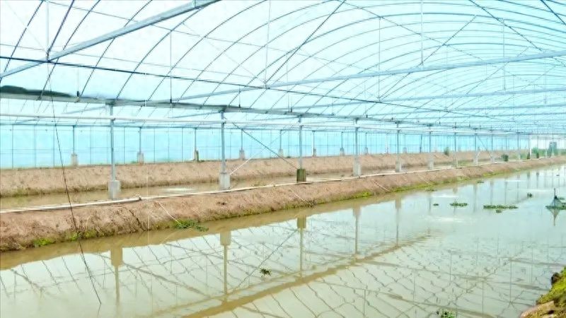 投入3000万元!公安水上春耕放大招