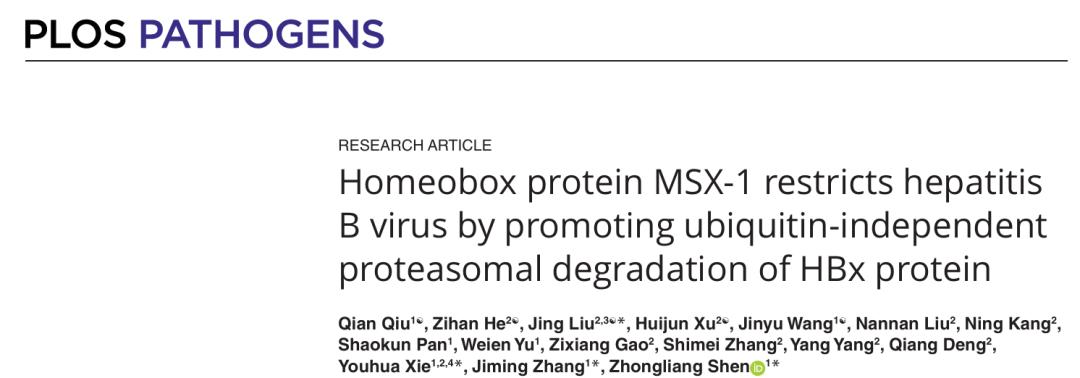 PLoSPathogens|张继明教授团队和谢幼华教授团队揭示MSX1抑制