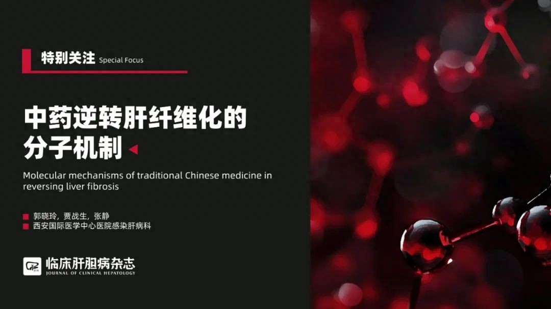 特别关注|中药逆转肝纤维化的分子机制