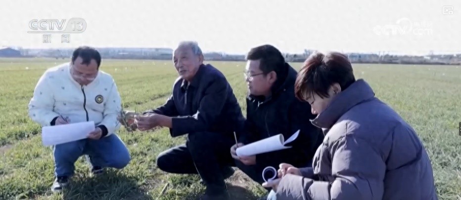 种植户心里有了底!农技人员入田间科学施策助春管