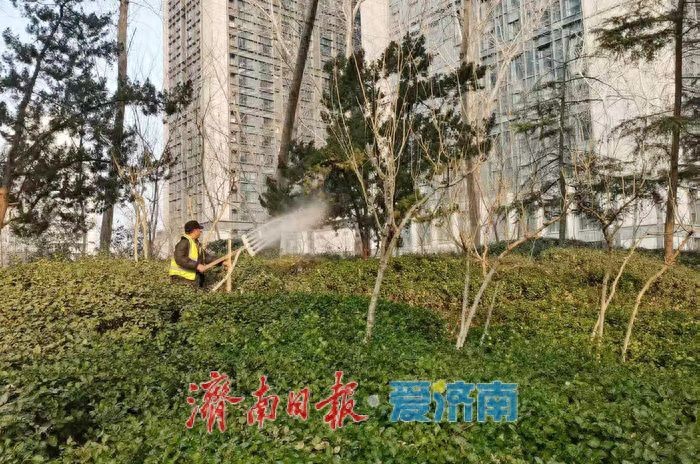历下区园林绿化服务中心多举措做好春季绿化养护管理工作今日