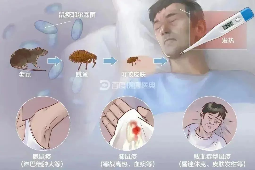 再萌也别碰!国家卫健委紧急提醒