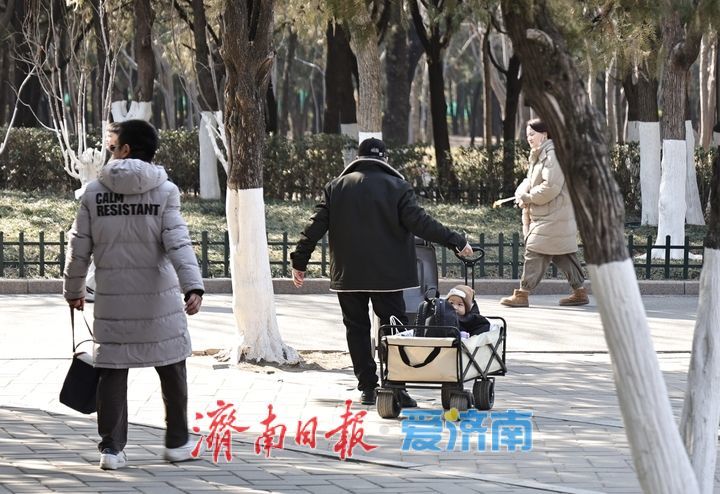 露营推车变身遛娃神器