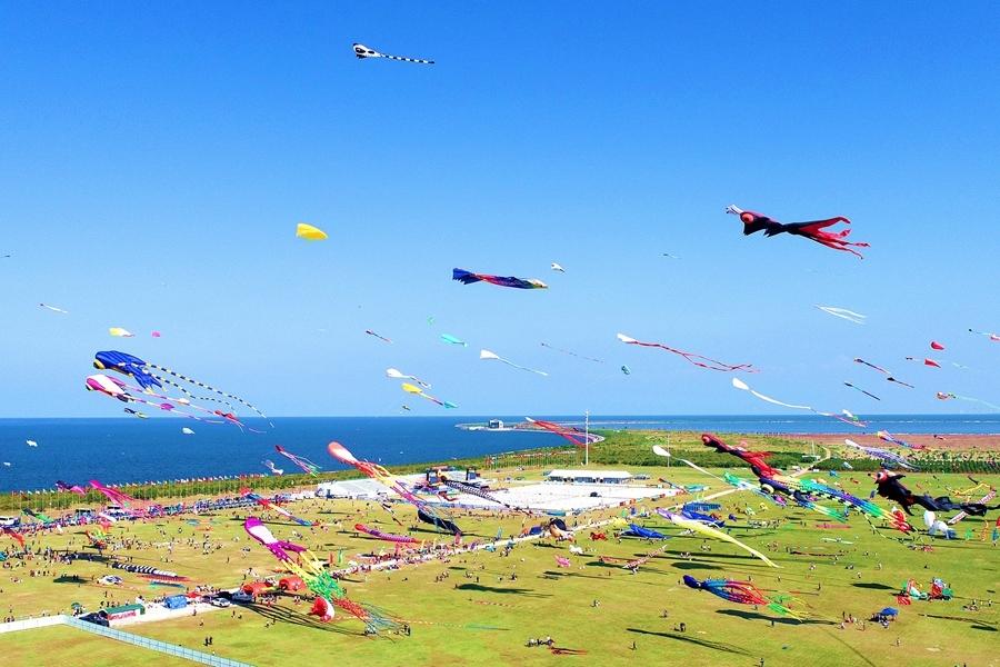 @爸爸妈妈,今年有100多趟银发列车,好客山东旅游线路将开行