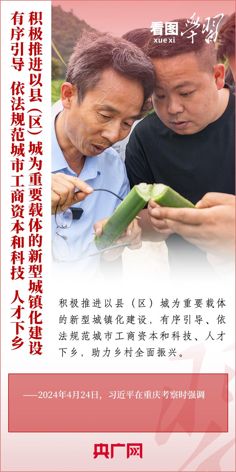 看图学习·奋进的春天丨积极发展乡村富民产业总书记这样论三农