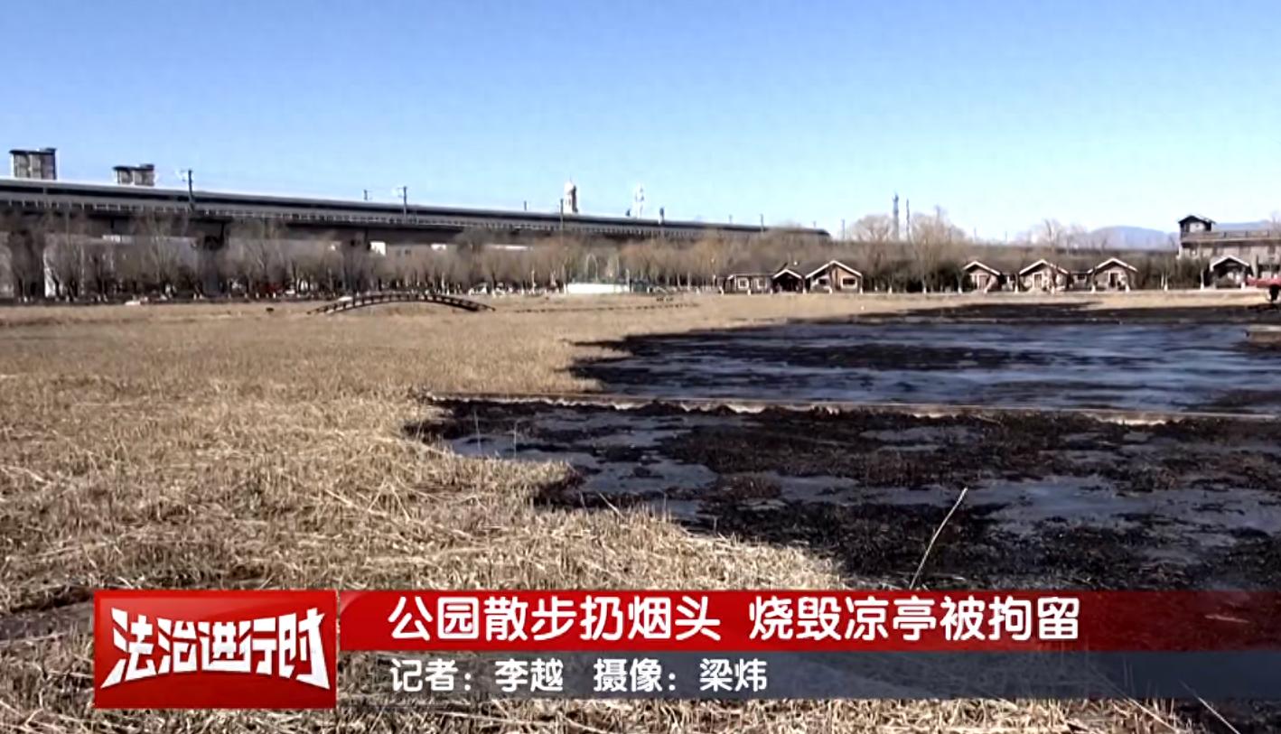 北京警方拘留1名男子:抽了根烟,然后悲剧了
