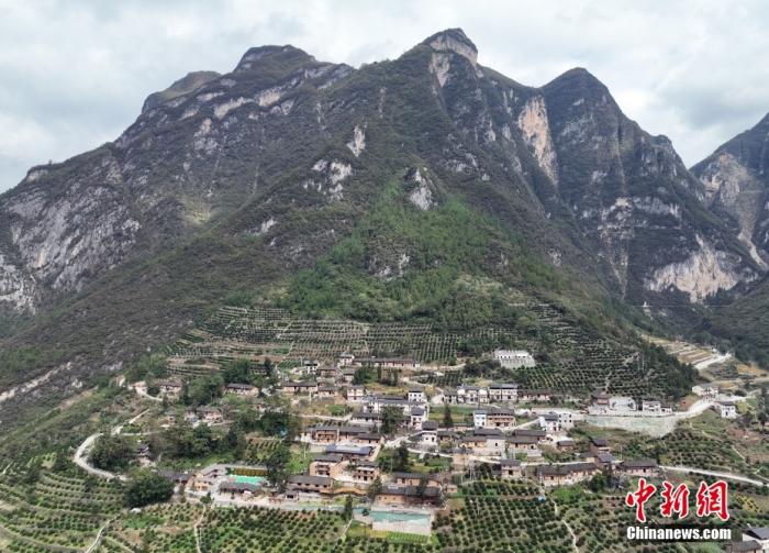 事关宅基地,中央一号文件强调两个不允许