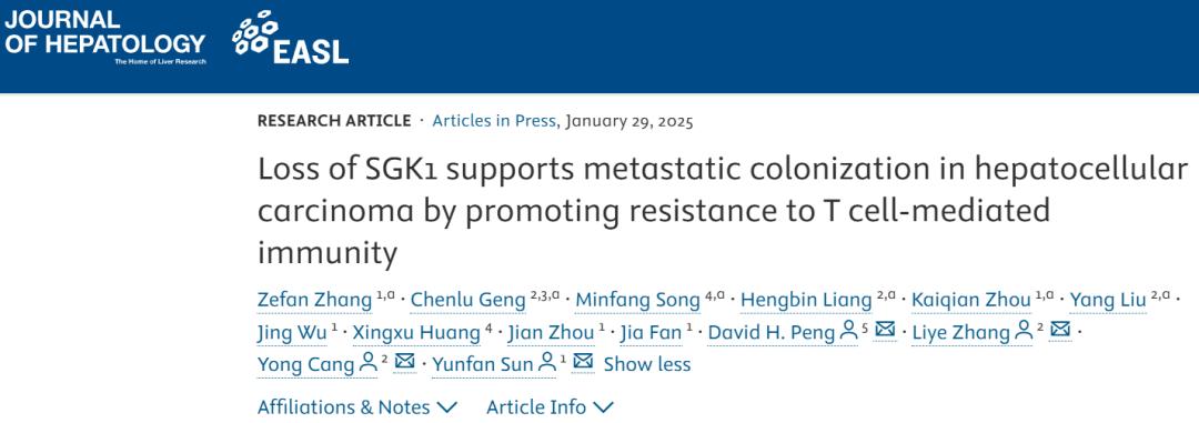 JHepatol丨复旦大学研究团队表明SGK1的缺失通过促进对T细胞介