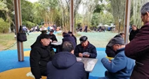 竹林焕新绿萍乡鹅湖公园绘就共享生态新画卷