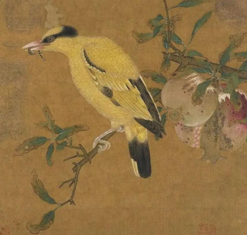 苹果本不叫苹果,古人取了个很唯美的名字,被日本人沿用至今
