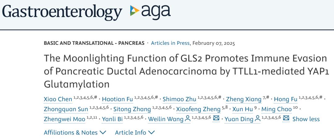 Gastroenterology丨浙江大学丁元王伟林揭示了PDL1上调的一种新
