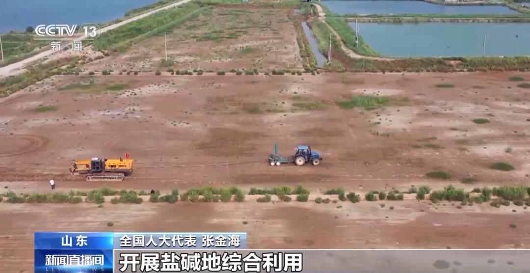 让东营盐碱荒滩变良田!今年这位全国人大代表的建议来了今日
