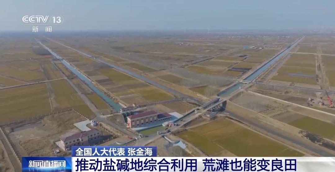 让东营盐碱荒滩变良田!今年这位全国人大代表的建议来了今日