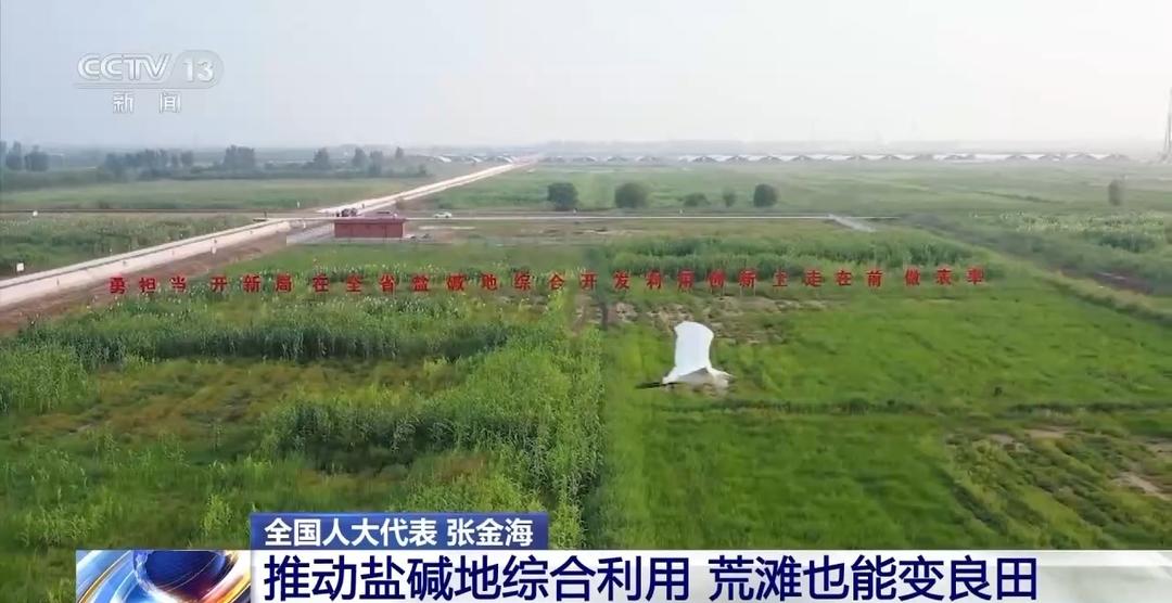 让东营盐碱荒滩变良田!今年这位全国人大代表的建议来了今日