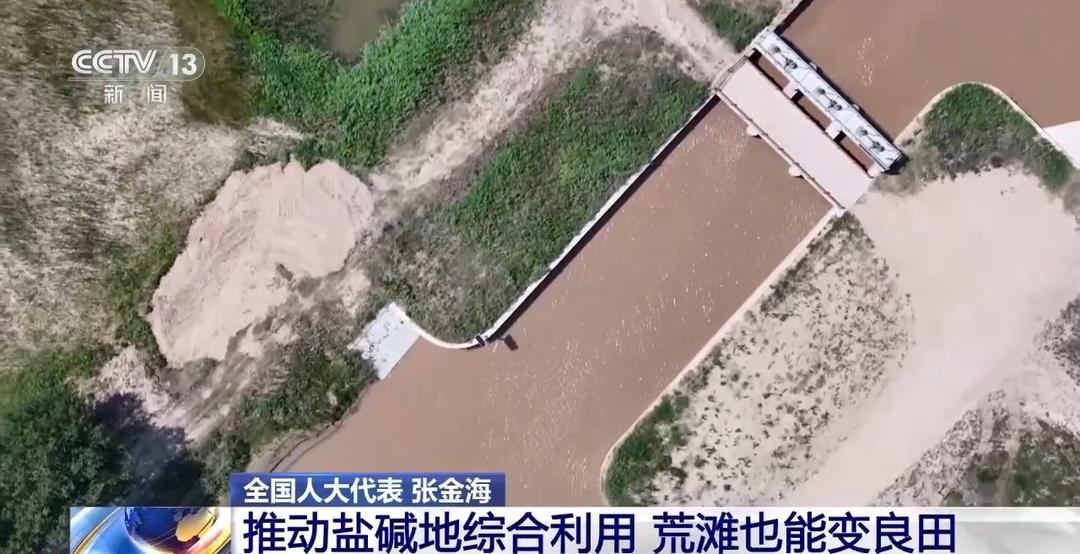 让东营盐碱荒滩变良田!今年这位全国人大代表的建议来了今日