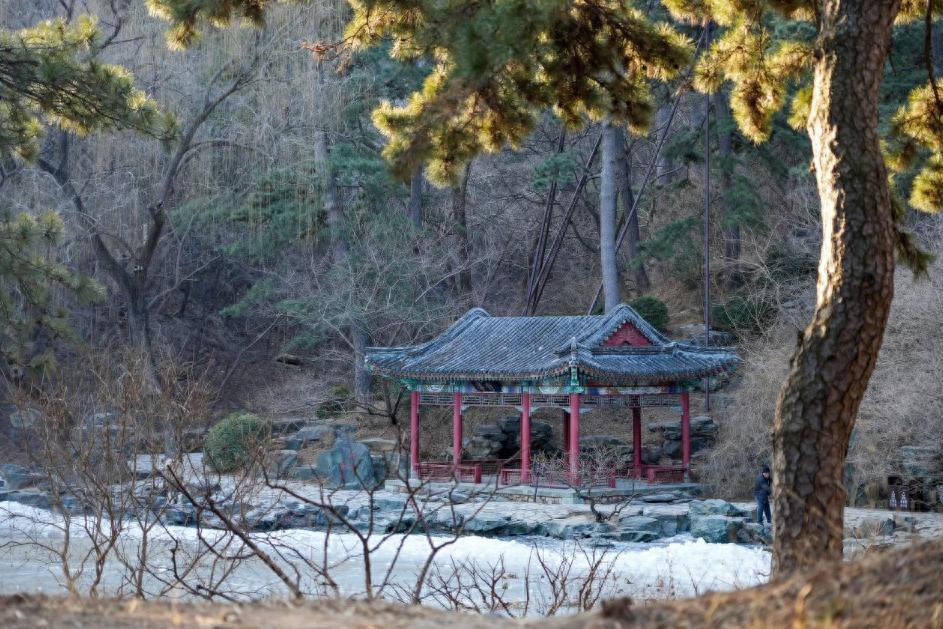 春天的脚步近了！北京最新爬春山攻略来了