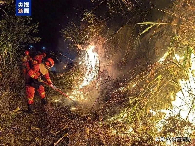 最新消息，森林防火要注意，近期多发→