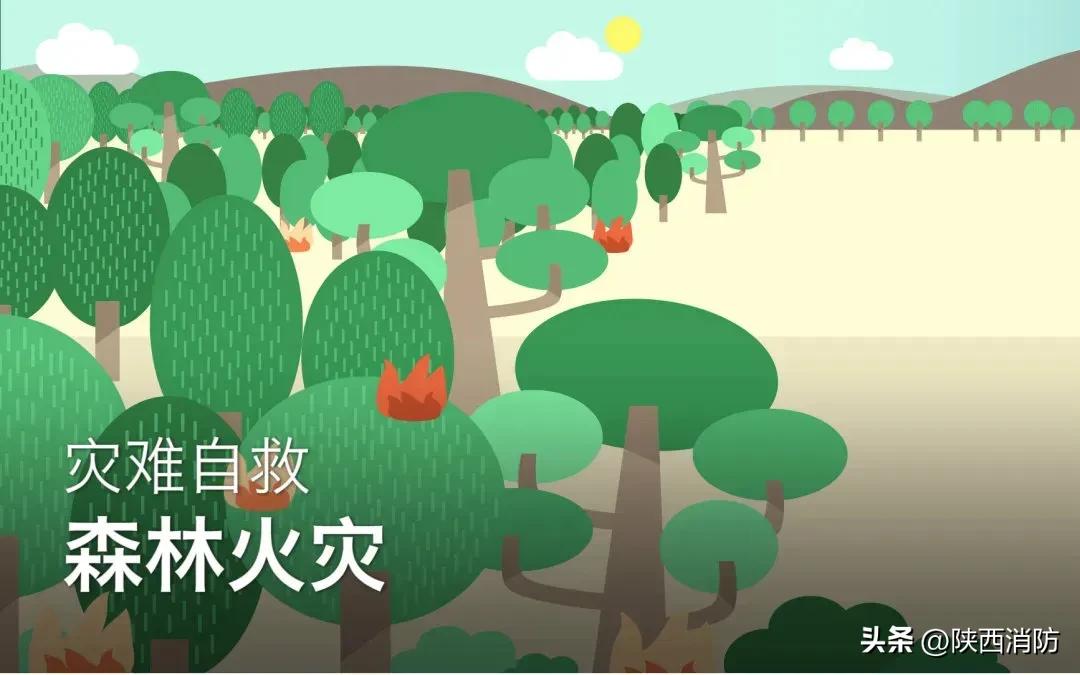 最新消息,森林防火要注意,近期多发→