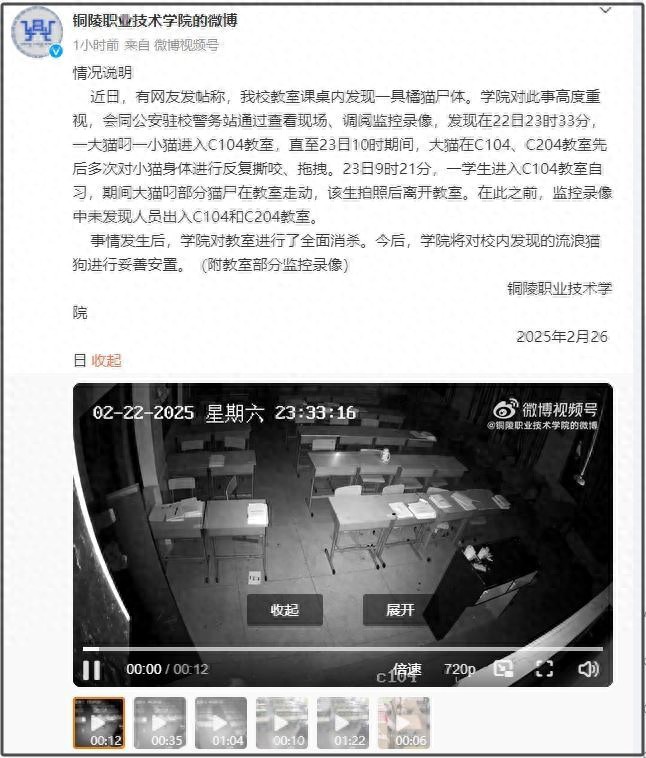 快评丨查明猫尸被塞课桌事件绝非浪费警力