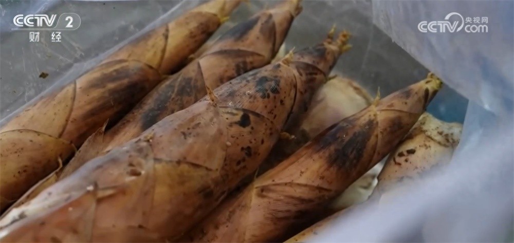百姓菜篮子迎来春日新鲜缤纷春菜正当时