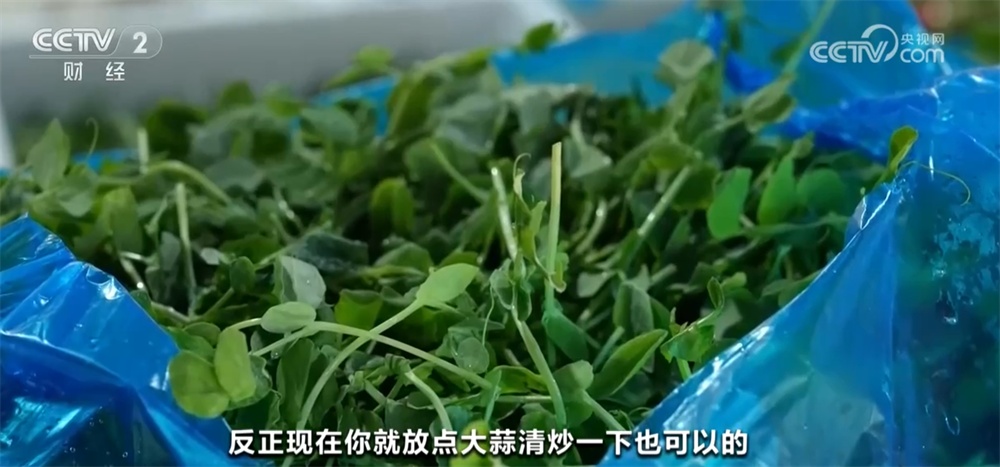 百姓菜篮子迎来春日新鲜缤纷春菜正当时