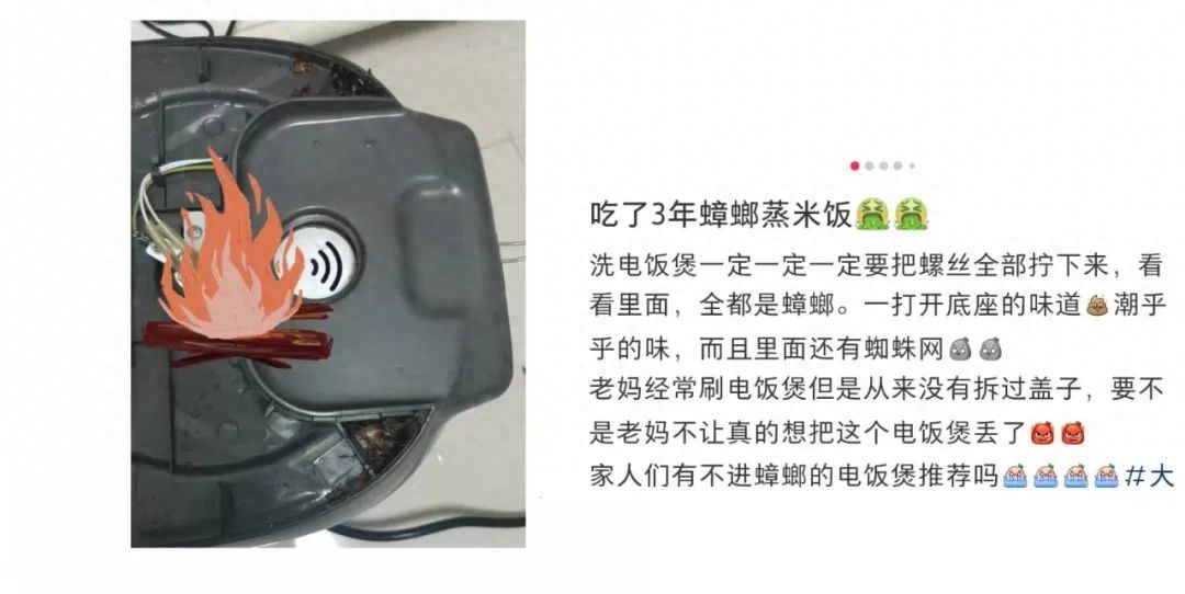 电饭煲这4个地方不洗，当心吃蟑螂蒸饭！！！
