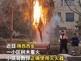 回望2024丨这些瞬间，你还记得吗？