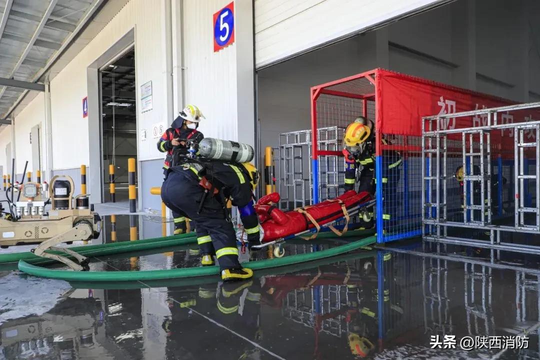 回望2024丨这些瞬间,你还记得吗?