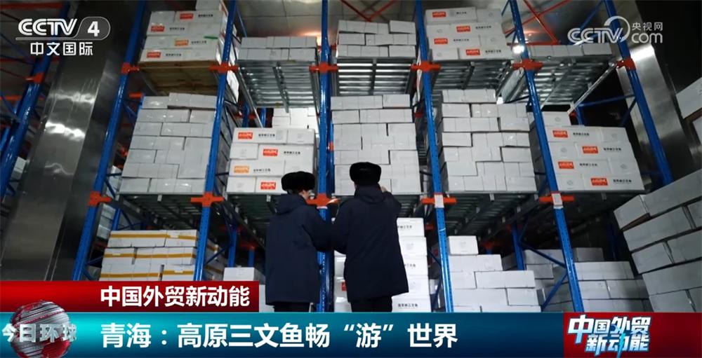 国内国外双开花探秘高原三文鱼畅游世界背后的智慧密码今日