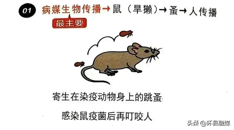 再萌也不要碰!国家卫健委紧急提醒
