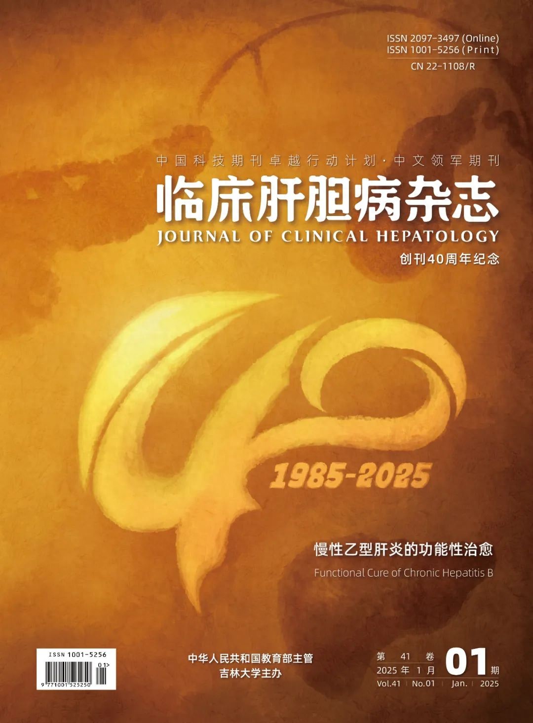 全网首发｜《临床肝胆病杂志》2025年第1期慢性乙型肝炎的功能性