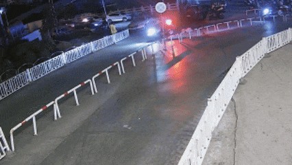 汪星人走丢后竟主动找骑警求救!