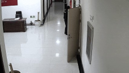 汪星人走丢后竟主动找骑警求救!